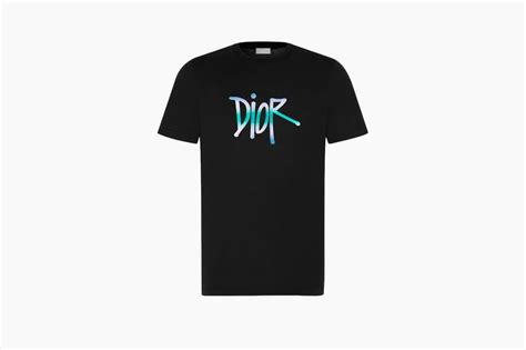 shawn x dior logo t shirt|Shawn Stussy x DIOR Logo T.